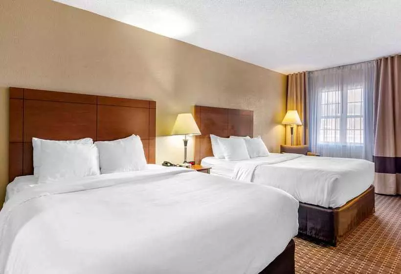 Hotel Comfort Inn & Suites Raphine  Lexington Near I81 And I64
