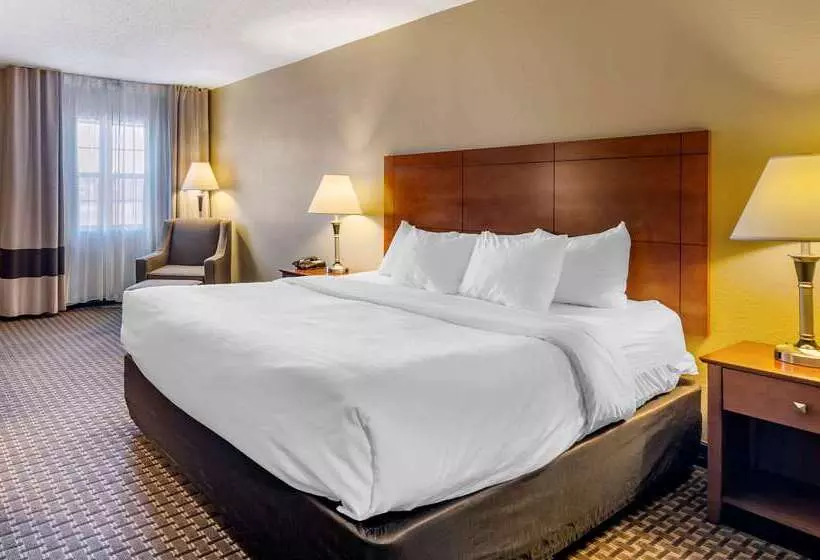 Hotel Comfort Inn & Suites Raphine  Lexington Near I81 And I64