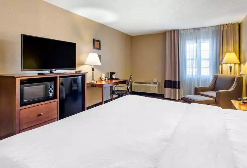 Hotel Comfort Inn & Suites Raphine  Lexington Near I81 And I64