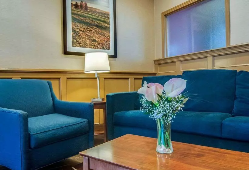 Hotel Comfort Inn & Suites Raphine  Lexington Near I81 And I64