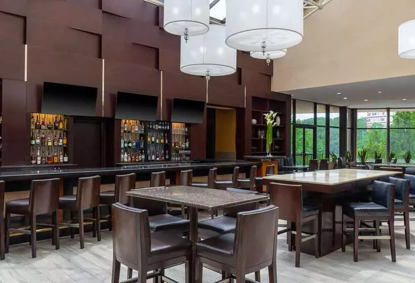 هتل Hilton Alexandria Mark Center