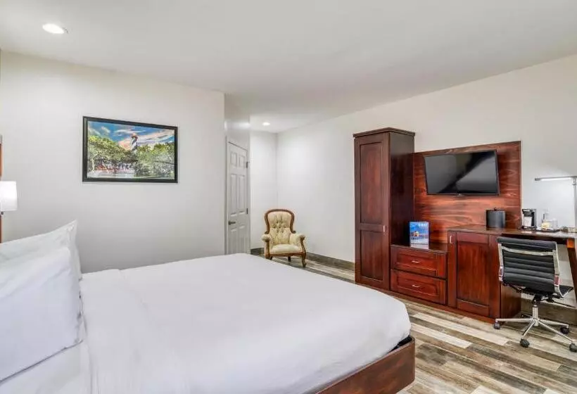 בית מלון כפרי Villa 1565  Saint Augustine