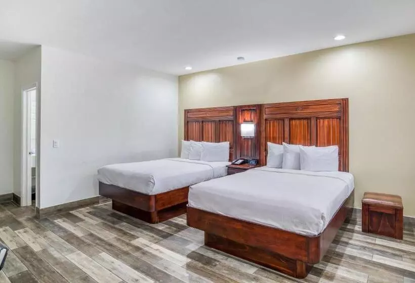 בית מלון כפרי Villa 1565  Saint Augustine