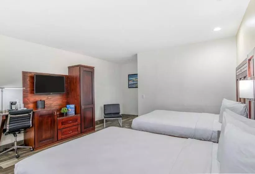 בית מלון כפרי Villa 1565  Saint Augustine