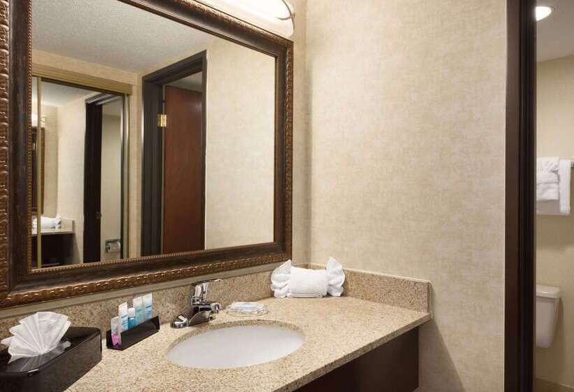 هتل Wyndham Garden Grand Rapids Airport