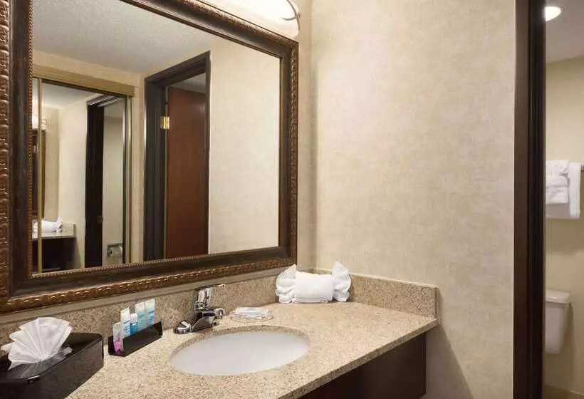 בית מלון כפרי Wyndham Garden Grand Rapids Airport