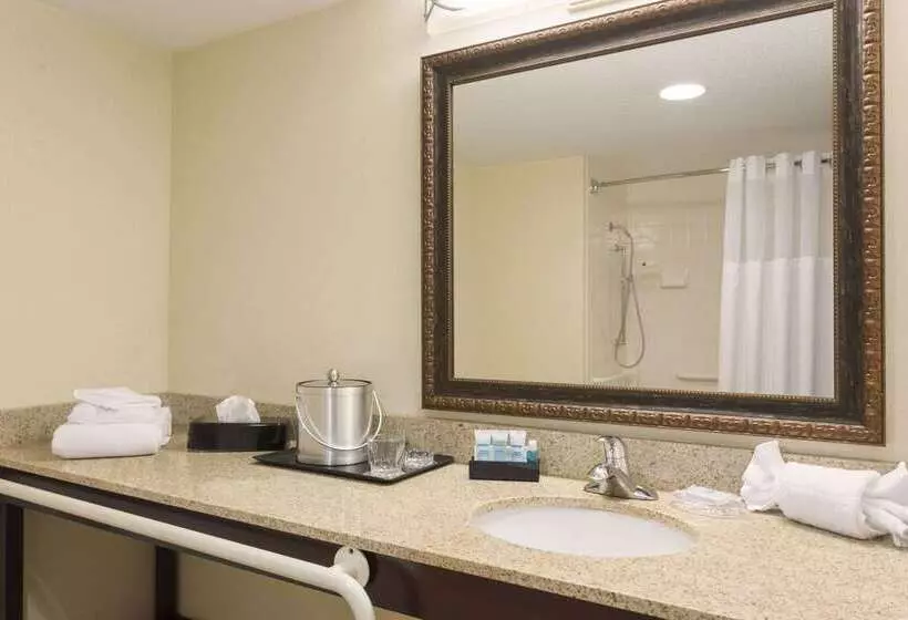 בית מלון כפרי Wyndham Garden Grand Rapids Airport