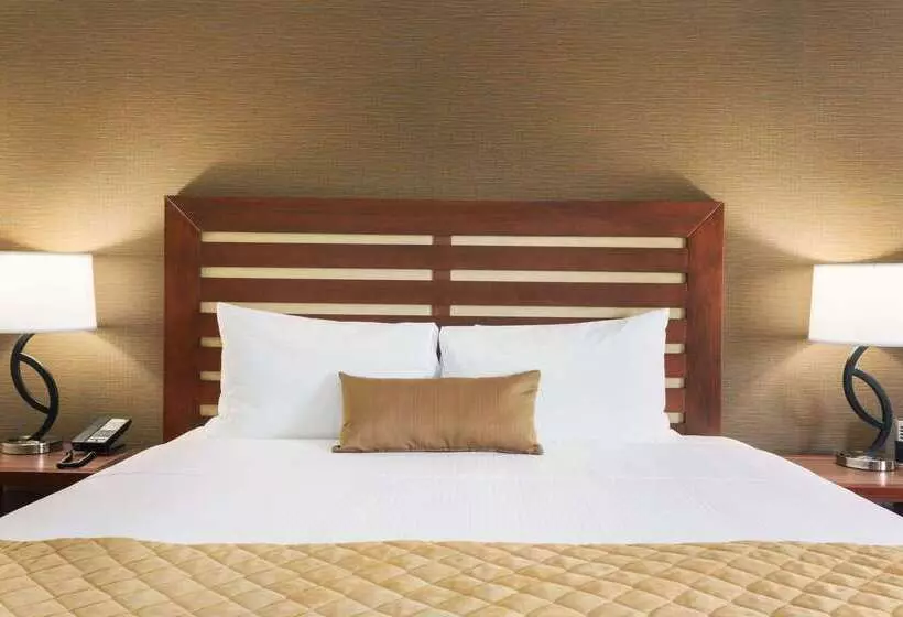 בית מלון כפרי Wyndham Garden Grand Rapids Airport