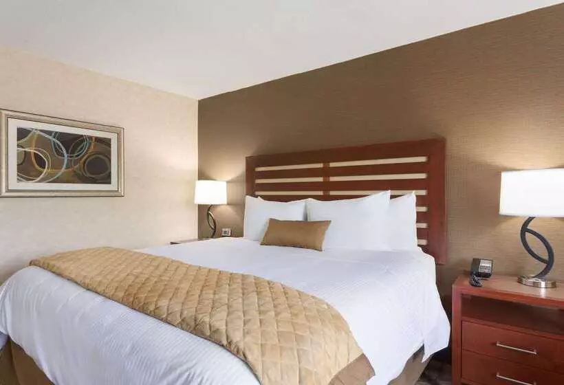 בית מלון כפרי Wyndham Garden Grand Rapids Airport