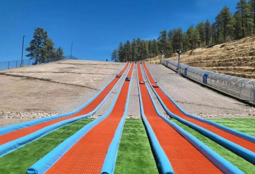 Мотель Super 8 By Wyndham Williams West Route 66   Grand Canyon Area