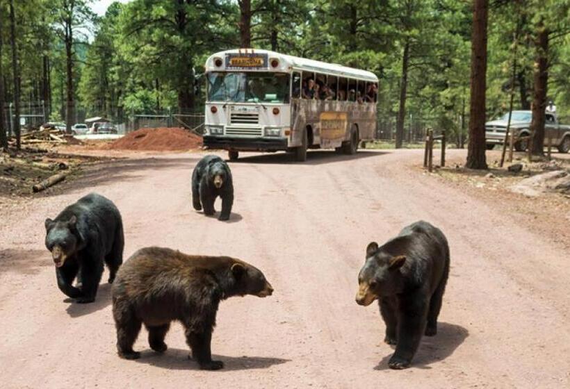 فندق على الطريق Super 8 By Wyndham Williams West Route 66   Grand Canyon Area