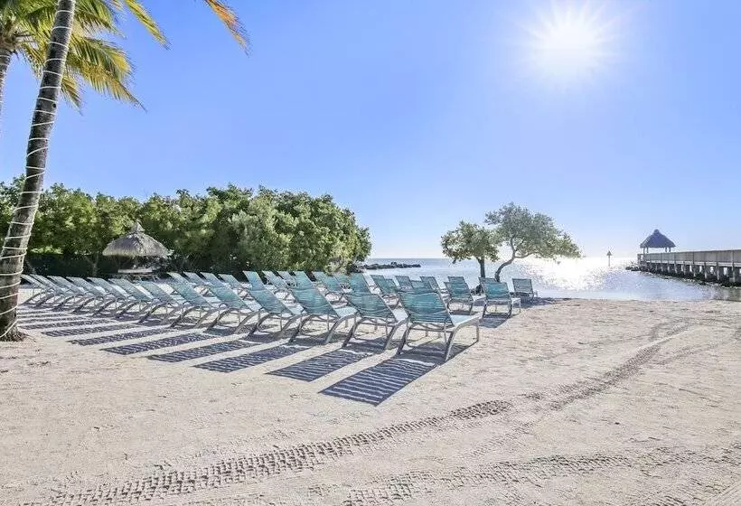 منتجع Ocean Pointe Suites At Key Largo