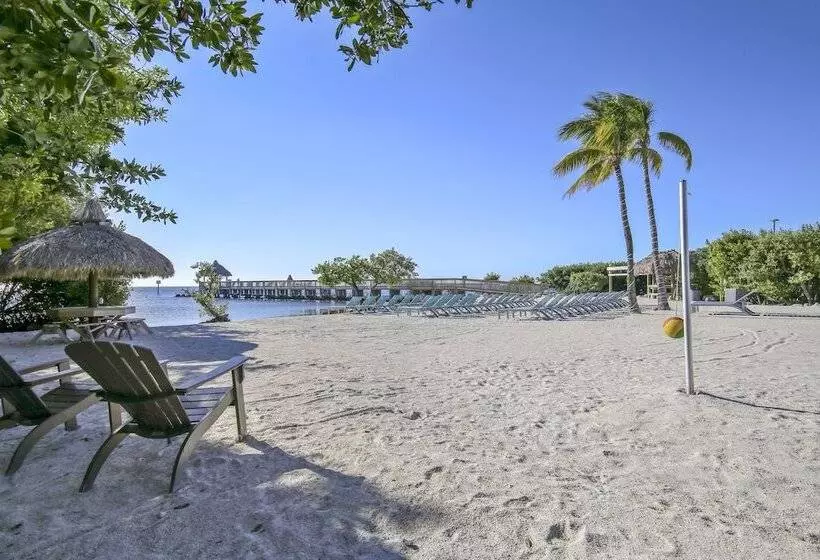 منتجع Ocean Pointe Suites At Key Largo