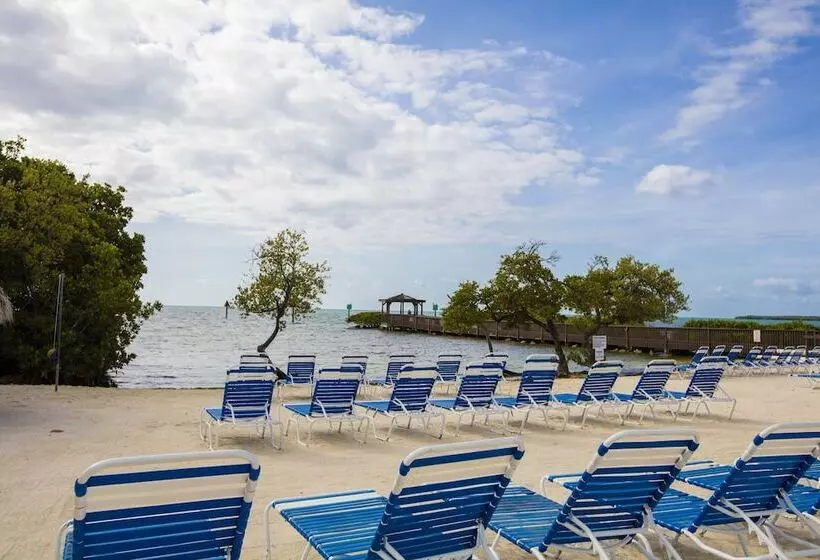 منتجع Ocean Pointe Suites At Key Largo