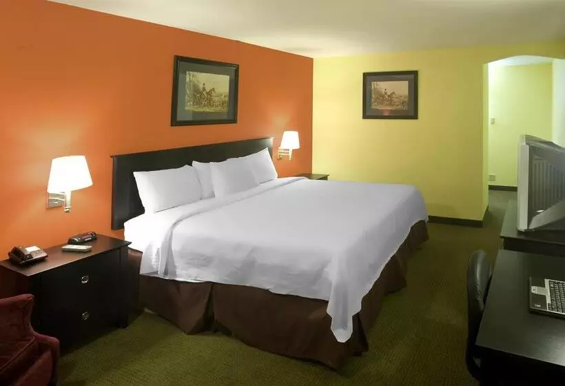 Otel Americas Best Value Inn Waco   Franklin Avenue
