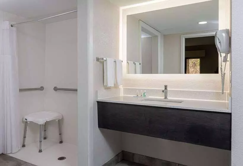 ホテル Quality Inn Asheville Downtown Tunnel Rd