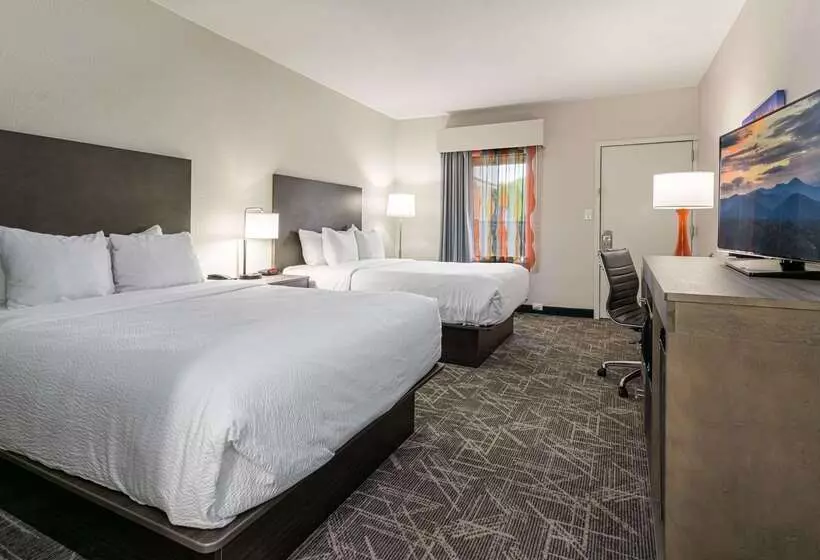 ホテル Quality Inn Asheville Downtown Tunnel Rd