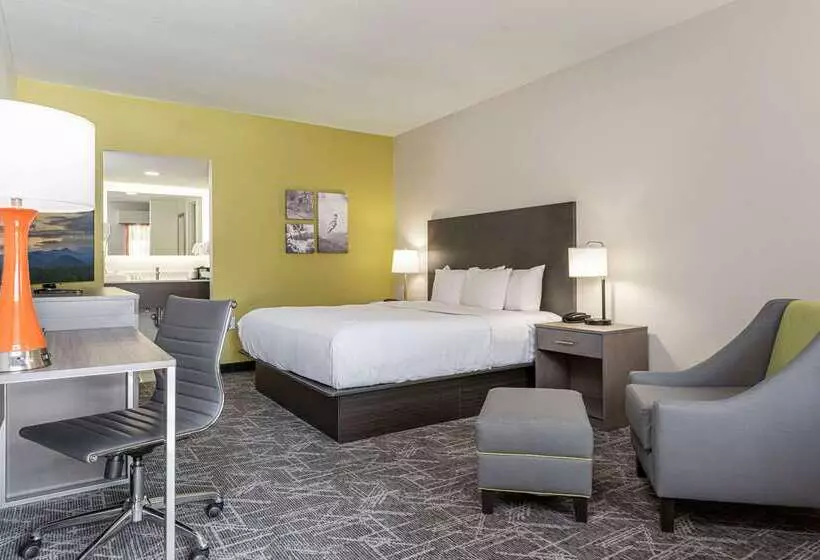 ホテル Quality Inn Asheville Downtown Tunnel Rd