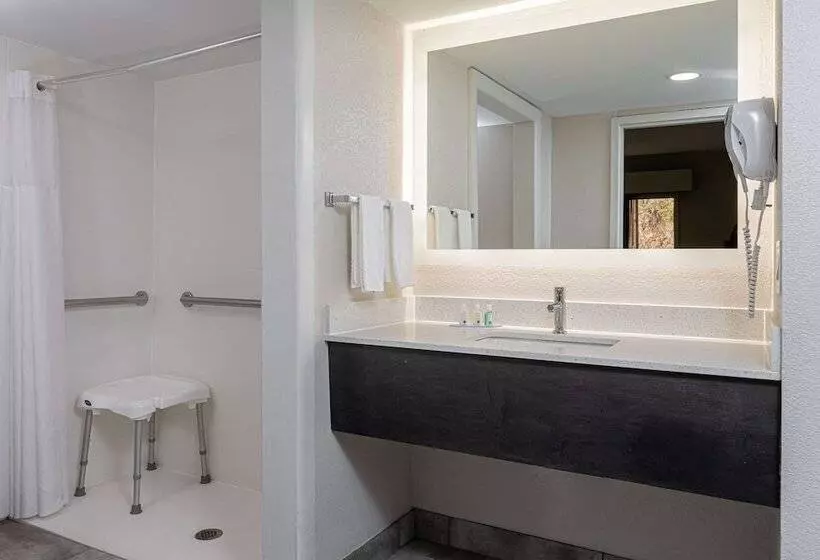 ホテル Quality Inn Asheville Downtown Tunnel Rd