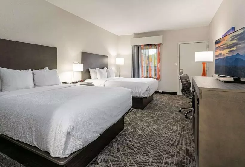 ホテル Quality Inn Asheville Downtown Tunnel Rd