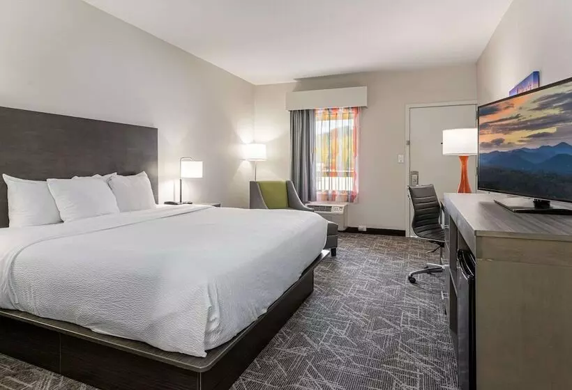 ホテル Quality Inn Asheville Downtown Tunnel Rd