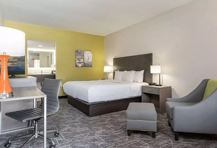 ホテル Quality Inn Asheville Downtown Tunnel Rd