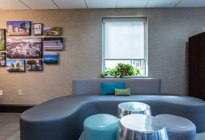 ホテル Quality Inn Asheville Downtown Tunnel Rd