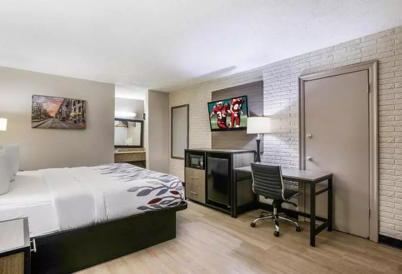 בית מלון כפרי Red Roof Inn Savannah   Richmond Hill I 95