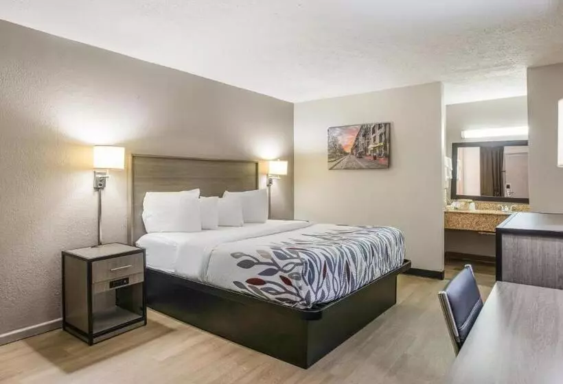 בית מלון כפרי Red Roof Inn Savannah   Richmond Hill I 95