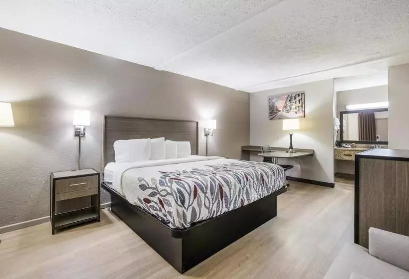 בית מלון כפרי Red Roof Inn Savannah   Richmond Hill I 95