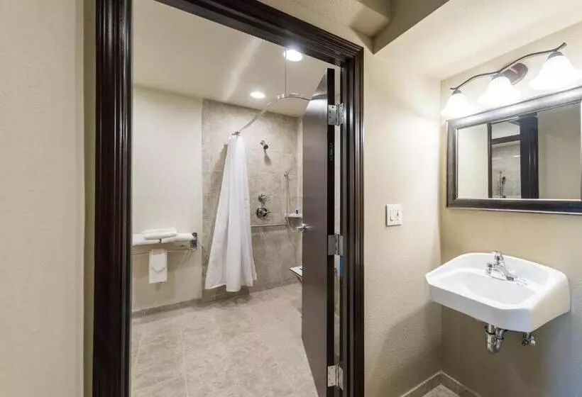 Отель Rodeway Inn & Suites Portland Jantzen Beach