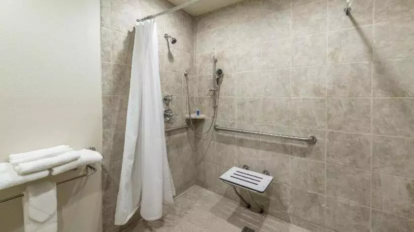 Отель Rodeway Inn & Suites Portland Jantzen Beach