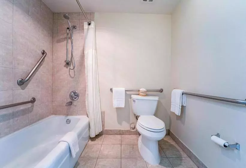 בית מלון כפרי Royal Plaza Inn