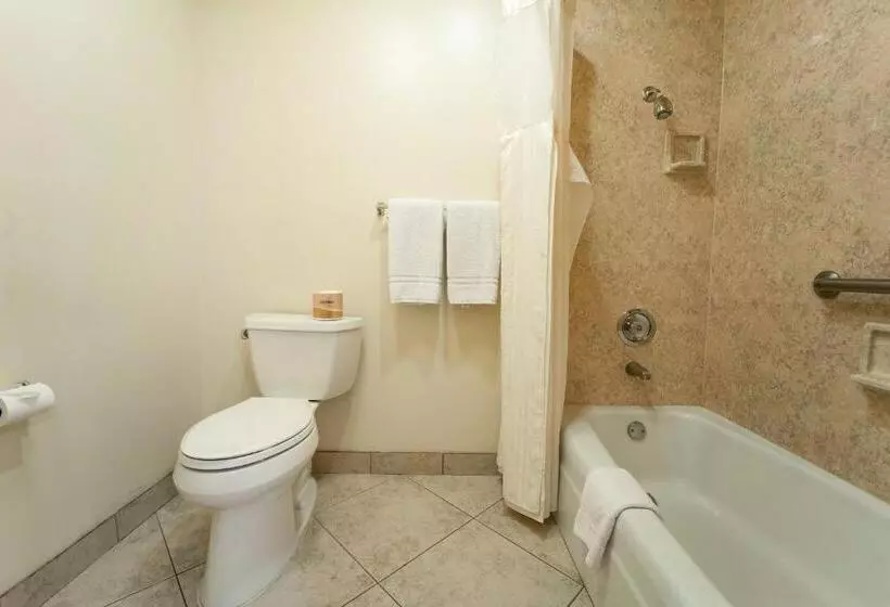 בית מלון כפרי Royal Plaza Inn