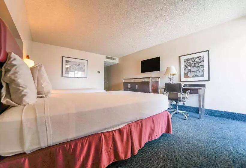 בית מלון כפרי Royal Plaza Inn