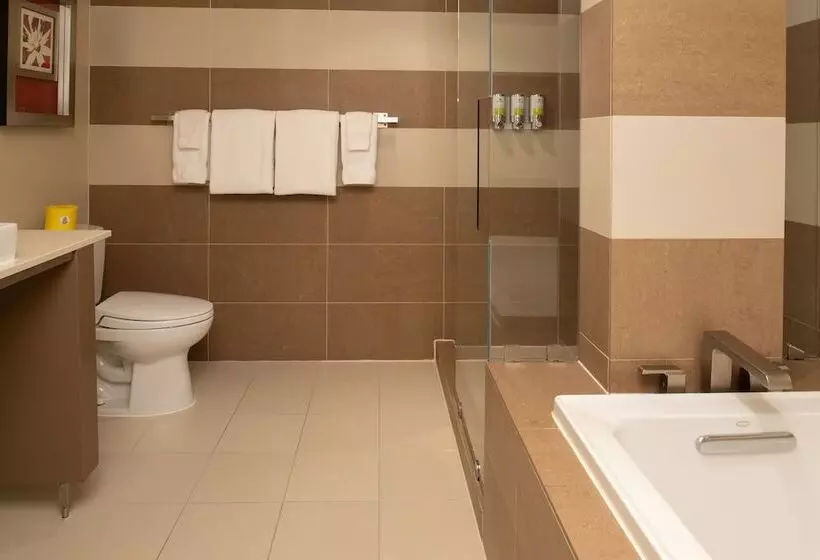 Staypineapple, Hotel Rose, Downtown Portland