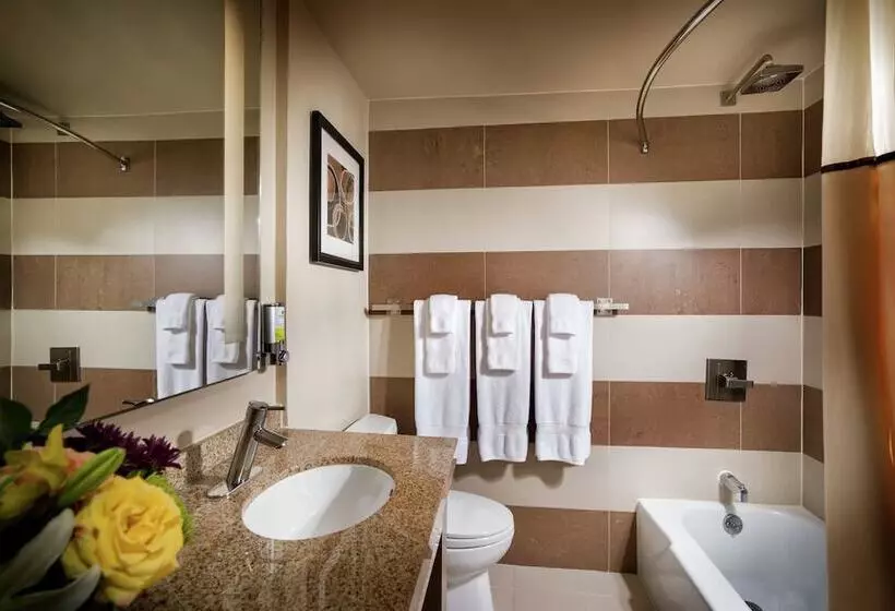 Staypineapple, Hotel Rose, Downtown Portland