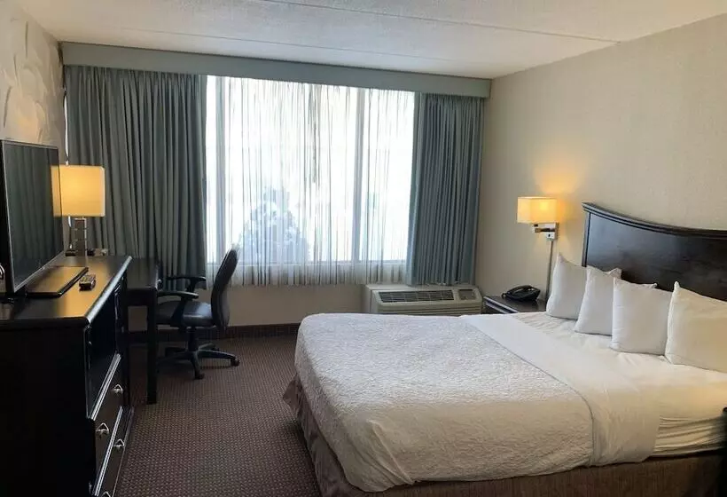 Hotelli Albany Airport Inn