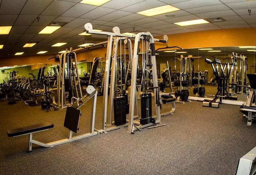 Safety Harbor Resort & Spa Trademark Collection By Wyndham