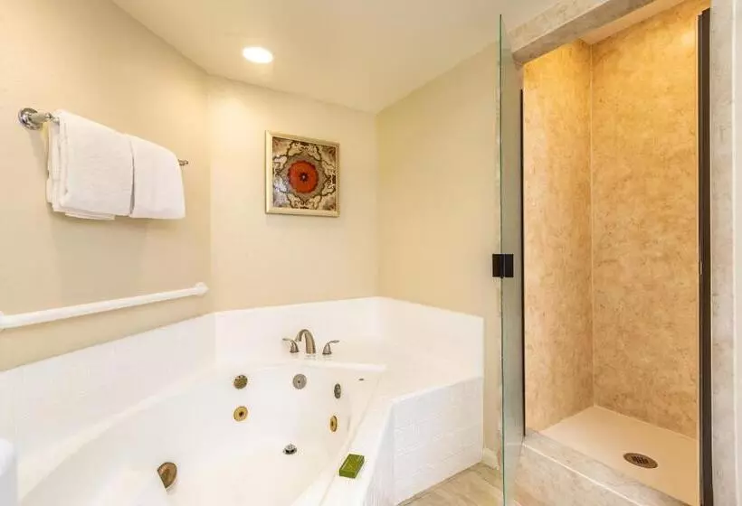 Scottsdale Camelback Resort