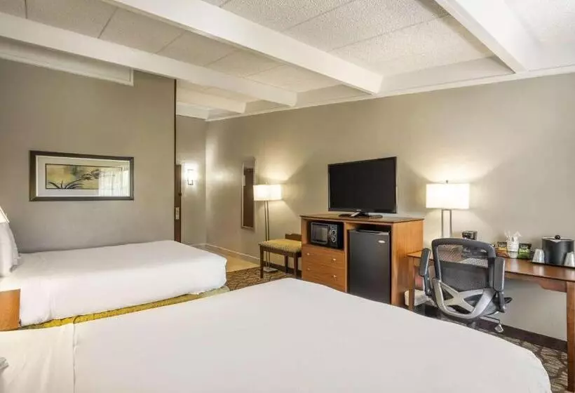 酒店 Americinn By Wyndham Grand Rapids Airport North