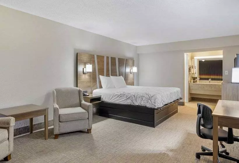 Szálloda Rodeway Inn