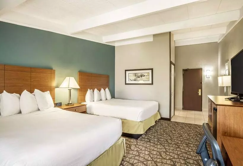 酒店 Americinn By Wyndham Grand Rapids Airport North