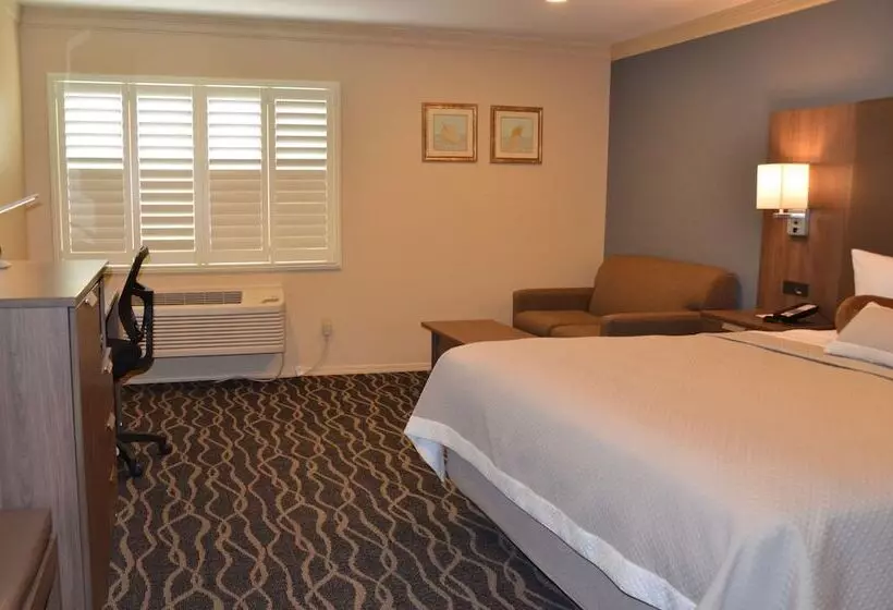 호텔 Best Western Plus Hill House