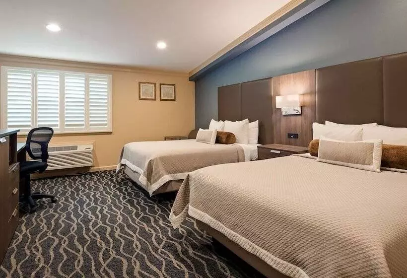 호텔 Best Western Plus Hill House