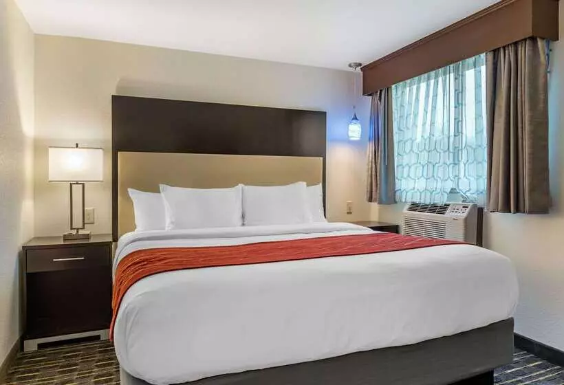 هتل Comfort Inn & Suites Tigard Near Washington Square