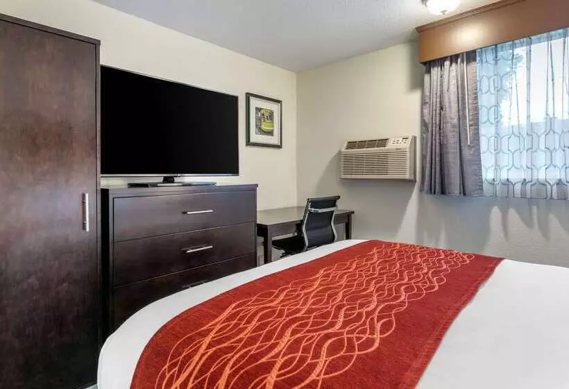 هتل Comfort Inn & Suites Tigard Near Washington Square