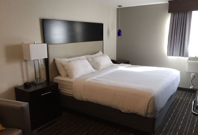 فندق Comfort Inn & Suites Tigard Near Washington Square