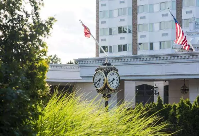 فندق Garden City