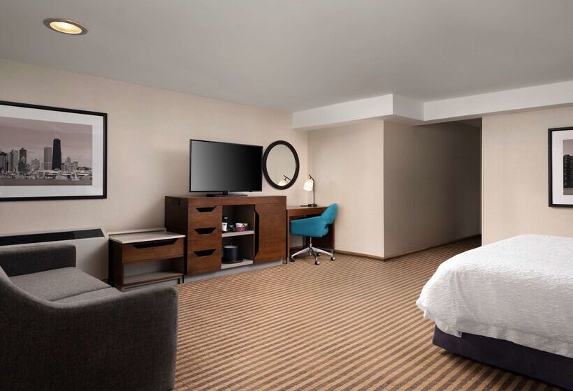 فندق Hampton Inn Chicago Downtown/magnificent Mile